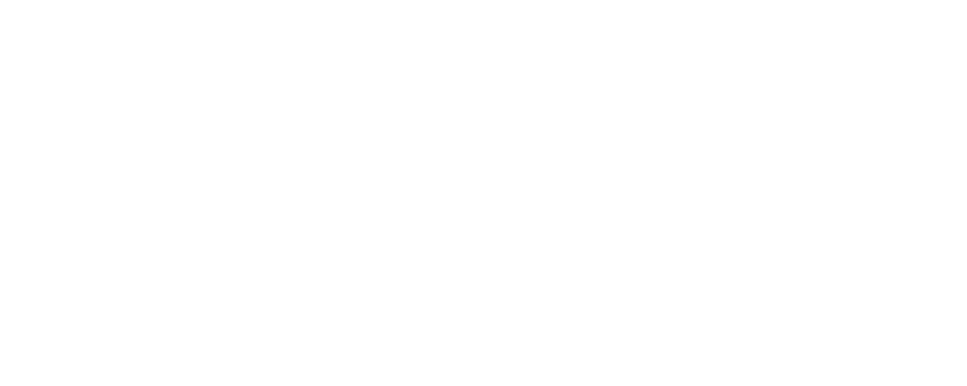 white_vlogo_Brazilian_Winds_Ensemble-1 copiar